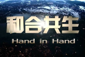 司法解释之宜与忌