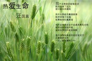 侵犯外观设计专利权现有设计抗辩岂可滥用