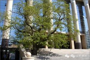 最高人民法院对8项网民意见建议的回复意见(2010.05.14)