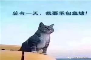 梦想终归是美妙的